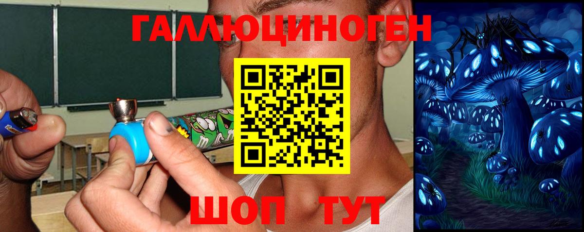 Гулькевичи  Галлюциногенные грибы Psilocybine cubensis  где найти   Вход с VPN 